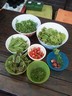 16jun12 oogst rucola spinazie peul biet koriander radijs oregano aardbei