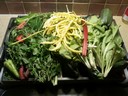 23jul12 oogst paprika rabarber marjolein boterboon rucola sla zuring wortel courgette
