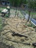 30apr13 mulch