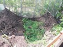 31jul14 compostkuil