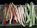 08mei15 rabarber asperge kardoen